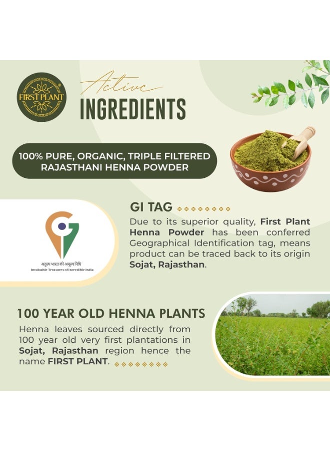 FIRST PLANT Premium Rajasthani HENNA POWDER, 100% ORGANIC Henna with GI Tag for Hair Colour and Hair Care (200 gm) - Image 4